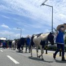 대안축산 이미지