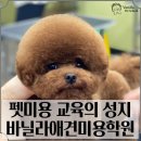 펫미용 이미지