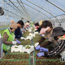 이원재 농장 이미지