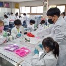 상진초등학교 이미지