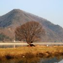 북한강 봄나들이 이미지
