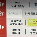 무아르헤어 이미지