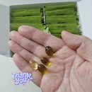 369 | 트루엔 올리브 햄프 369 후기(제품제공)