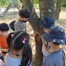 월촌초등학교 이미지