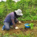 세중농장 이미지