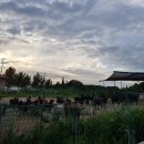 홍우농장 이미지