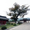 예산-37 이미지