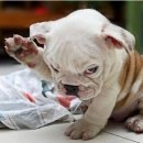 스카이(SKY)독서실 이미지