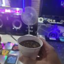 로얄게임장 이미지