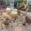 세계모란공원 이미지