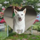 견생개꿀 이미지