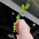 왱왱해물촌 이미지