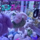 대빵오락실 상남2호점 | 상남동 투썸 근처 인형 뽑기 오락실 '핑키 펑키' 와 '대빵오락실상남2호점'