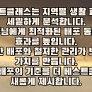 전단지더베스트클래스