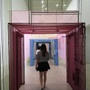 미술가의 삶과 작품을 나의 작품으로 | 국립현대미술관 서울 전시 서도호 개인전 프리뷰 후기 예매
