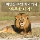 라이언킹