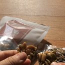 샌씨네