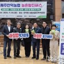 안덕면 서광서리 복지회관 이미지