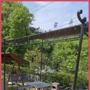 아르보르펜션 | 여주펜션 힐링이 필요하다면, 여기 있습니다. 아르보르펜션