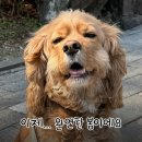 네잎크로버 소프트 | [3월 일상 기록] 소소하게 보낸 3월 한달 몰아보기