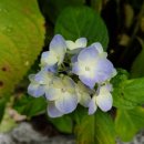 무학산자락쉼터 이미지