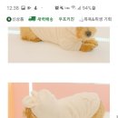 16일 오후 6~7시 730번 버스 타다 분실한 파리바게트 종이쇼핑백에 들어있던 크림색 강아지옷, 셀카봉, 은색 보조배터리 찾습니다. 이미지