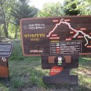 (주)산채원