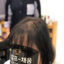대구가발스칼프채움 이미지