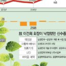 메디슨무역 이미지