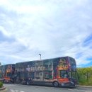 부엉이풀민박 | 영국까지 가서 런던 해리포터 스튜디오 왜 안가세요 (마이리얼트립 할인코드, 꿀팁)