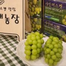 영재농장 네이버블로그