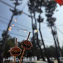 지에스(GS)25 일산해변점 | 강릉 사천해변 햄버거 모아나버거 다녀온 후기