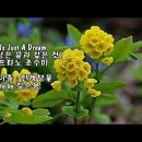 Love is just a dream (사랑은 꿈과 같은 것)........... 이미지