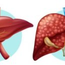 머슬팩토리24 보건대점 이미지