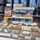 에코라운지 이미지