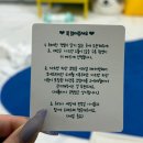 강아지 유치, 털 보관하는 가장 특별한 방법 제드비 레진아트 제작 후기