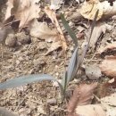 음암초등학교 이미지