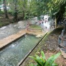 태국골프 그린월드 소식지 이미지