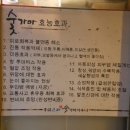 홍삼스파참숯가마사우나 이미지