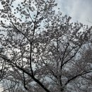 에덴마스터 | 에덴병원 출산후기 및 산후조리원 후기 광주 에덴병원 에덴병원 조리원