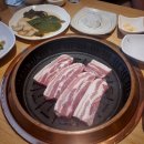 한돈소 이미지