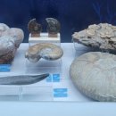 티라노모텔 이미지