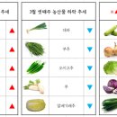 1등유통 네이버블로그