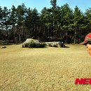 도기박물관 체험관 이미지