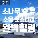 힐링소울 | [춘천 카페] 소나무 숲 뷰가 환상적인 대형 카페, '소울로스터리' 솔직 후기