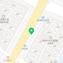 대전 강아지분양 고양이분양 파라다이스펫본점 네이버블로그