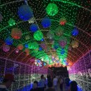 이수민농장 이미지