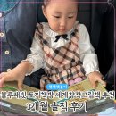 블루래빗 토끼책방 세계창작그림책 추천 3개월 솔직 후기