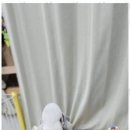 키티 앤 퍼피 이미지