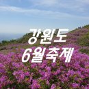 6월 국내여행지 강원도 축제 가볼 만한 곳 리스트